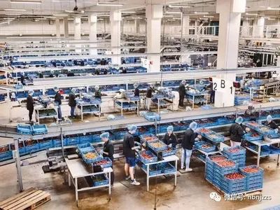 【視界】超越德國？揭秘農(nóng)業(yè)科技領域的隱形冠軍